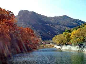 澳门二四六天天彩图库，黄山毛峰1875